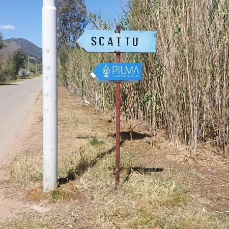 Piuma Apartament *