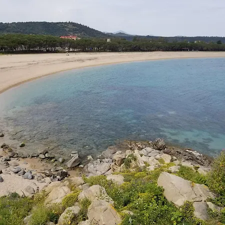 Piuma *